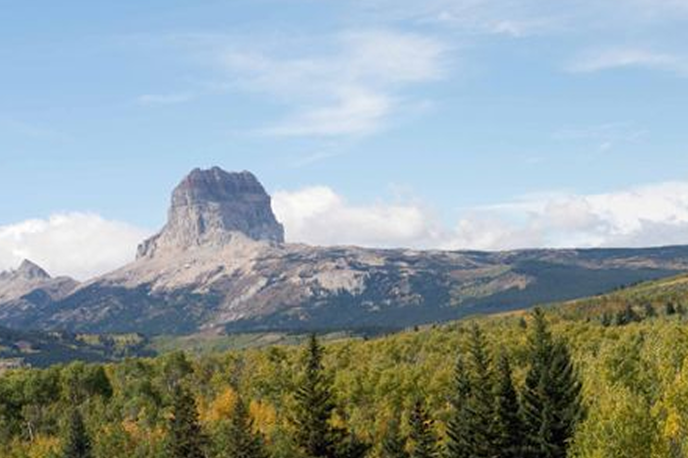 Montana mountain landscape with a rocky peak and a pine forest in the foreground under a partly cloudy sky