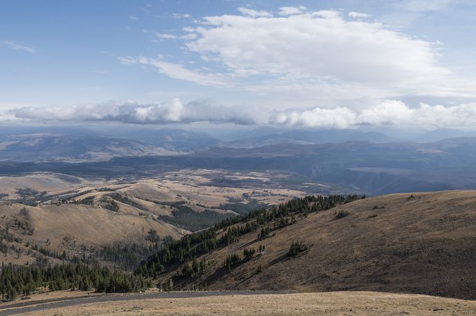 Mount Washburn from Dunraven Pass