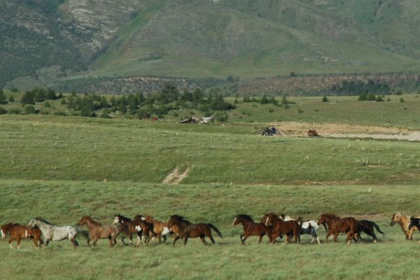 Lodge Grass, Montana