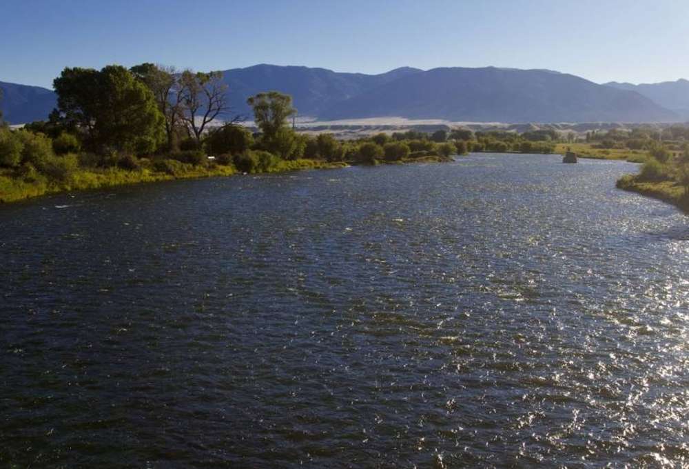 The Great Golden Eagle Migration: Where to Go and What to Know