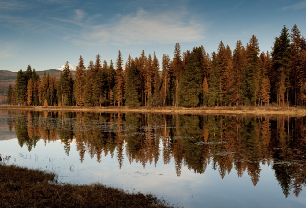 Where To Go and What To Know This Fall in Montana