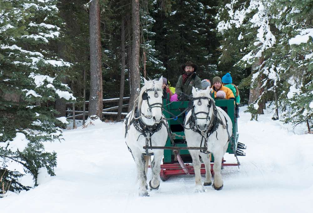 Set your Sights on Sleigh Rides and Firesides