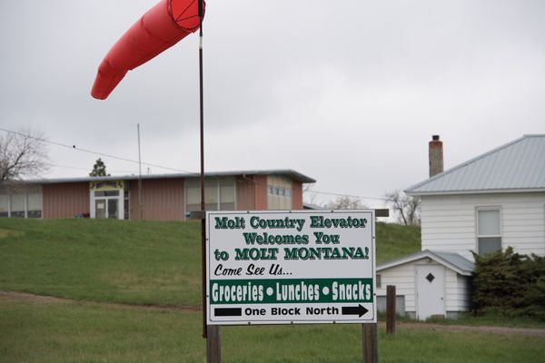 Molt, Montana