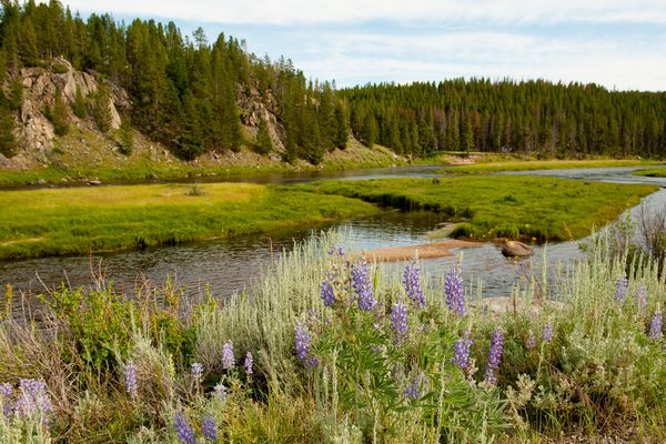 Divide, Montana