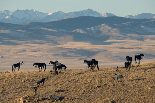 Three Forks, Montana