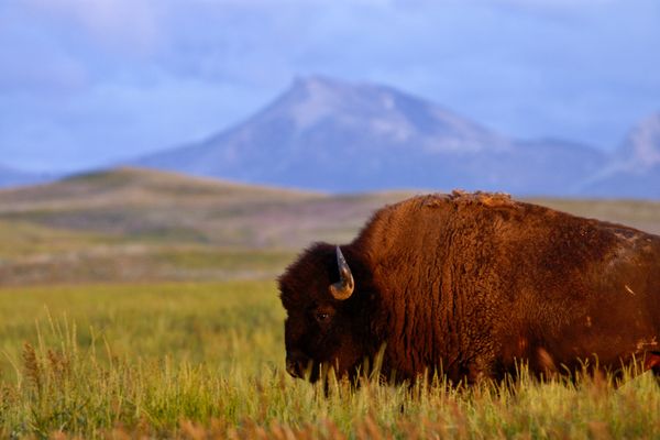 Valier, Montana