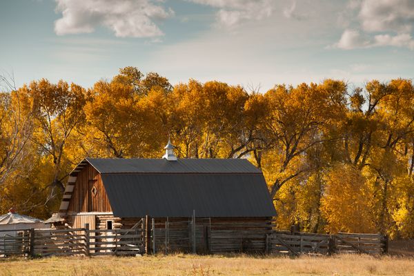 Toston, Montana
