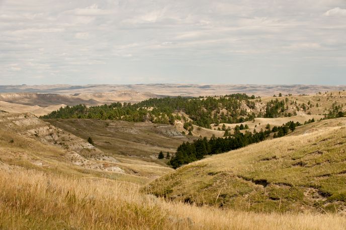 Bowdoin National Wildlife Refuge