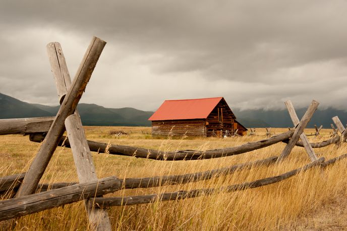 Harrison To Cardwell