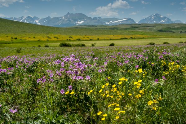 St Mary, Montana