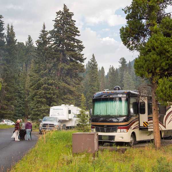 Tour buses and other vehicles traveling on a Montana road through a forested landscape, with passengers walking near the roadside