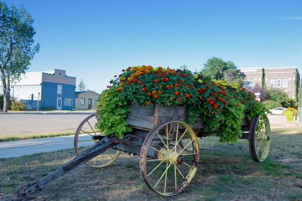 Stanford, Montana