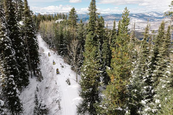 Snow-covered ski trail through a dense stand of pine trees with distant mountain peaks in view