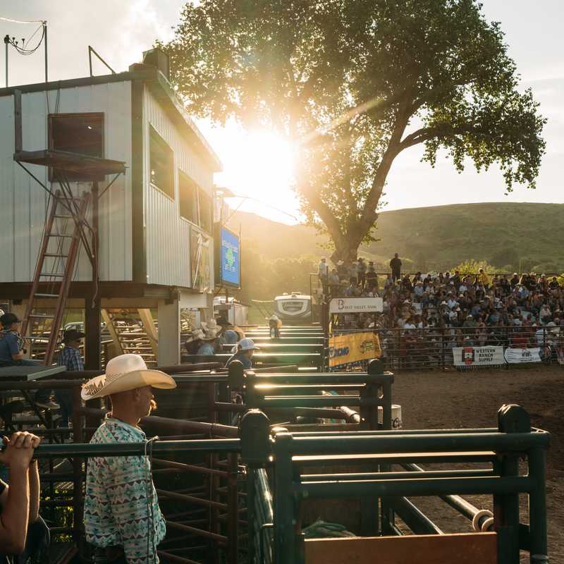 Crowd lines bleachers along a rodeo arena as a bull and rider move through the ring at sunset in Montana