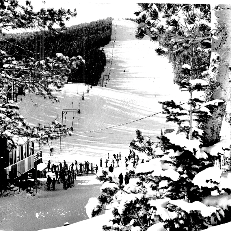 Snowy road winding through a pine forest with hikers walking along a marked path in Montana