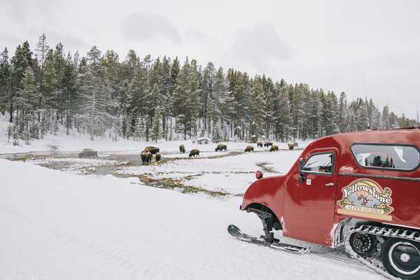 Snowcoach Tours