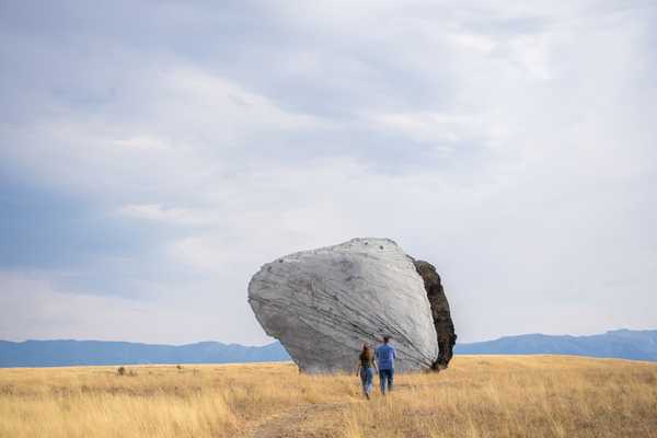 Art Galleries and Installations