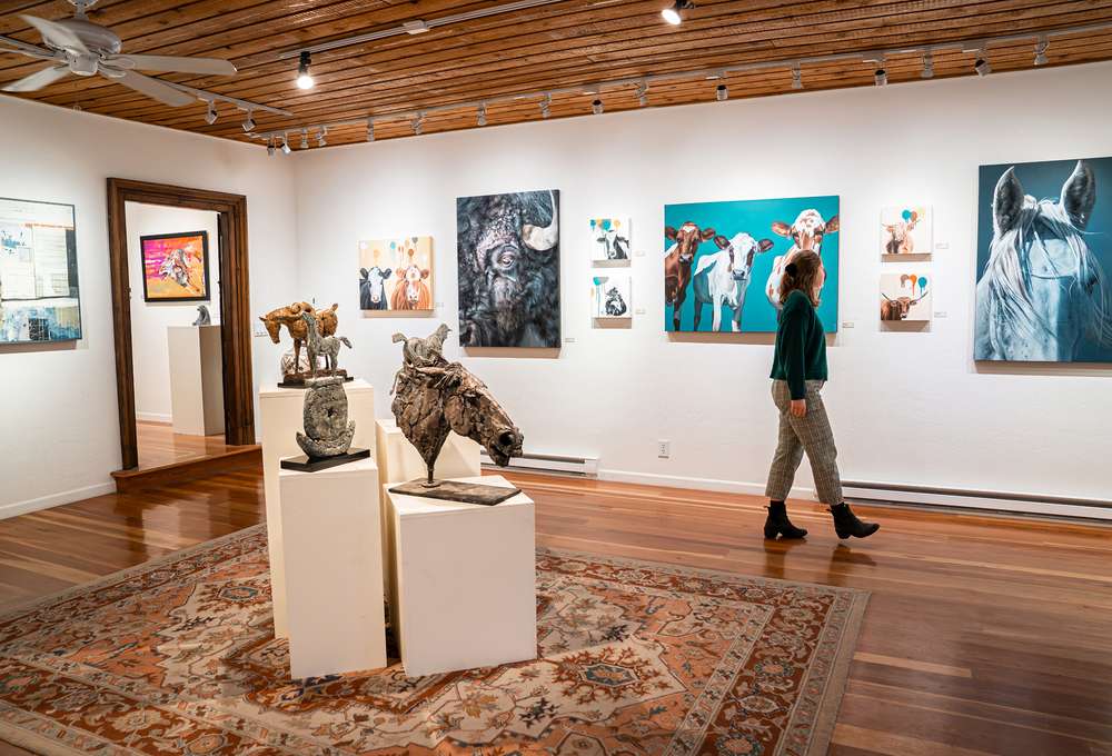 Art Galleries and Installations