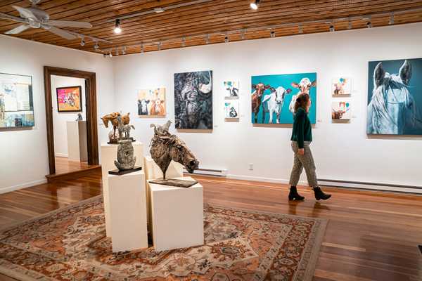 Art Galleries and Installations