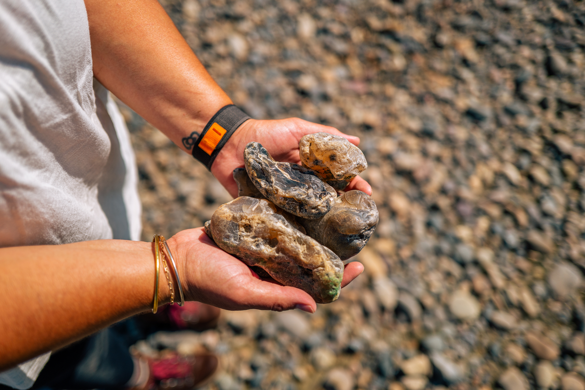 Hands holding small river rocks on a rocky riverbank in Montana