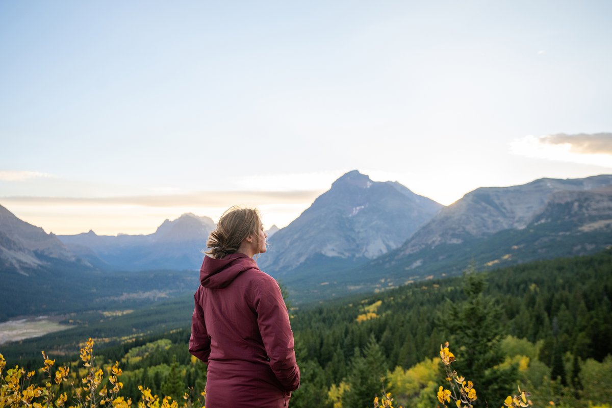 Person overlooking Montana mountains at sunset from a hillside with wildflowers in bloom