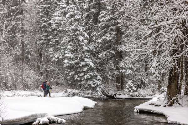 Snowshoeing