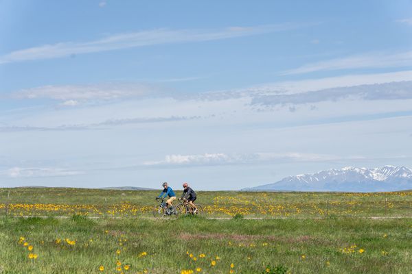 Two hikers walking on a grassy field of wildflowers with distant mountains in Montana