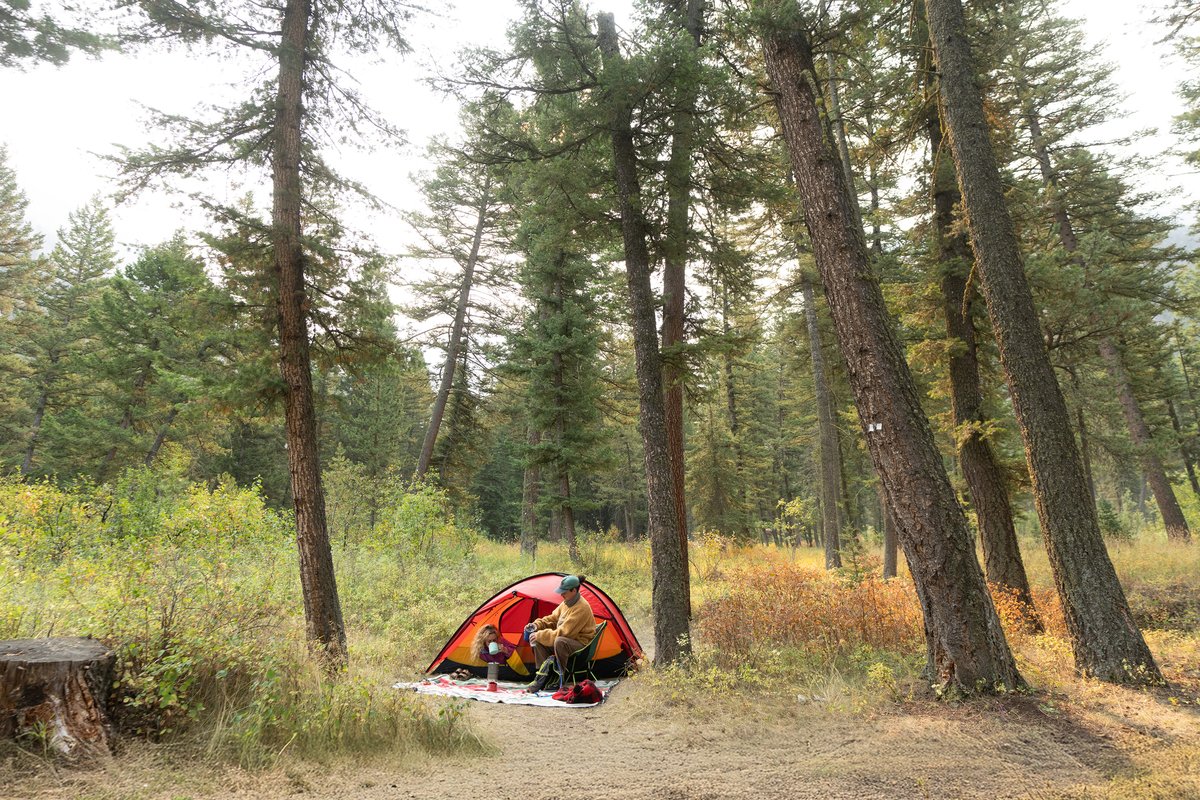 Tent camping spot in a Montana forest with campers in the distance