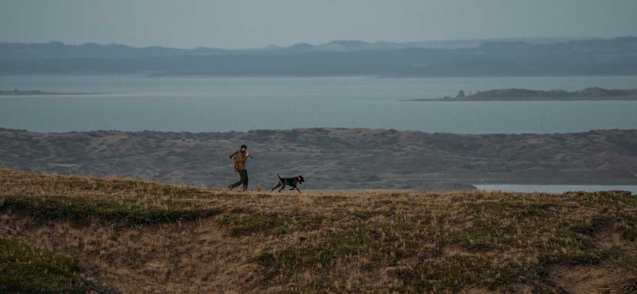 Person walking a dog along a grassy ridge overlooking a wide bay and distant mountain ranges in Montana