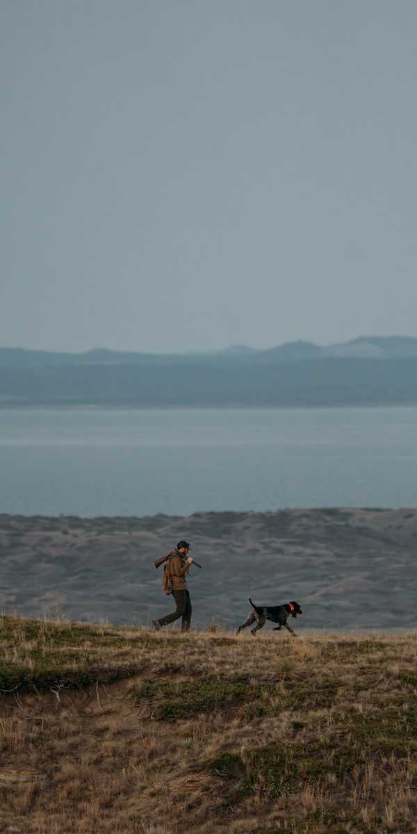 Person walking a dog along a grassy ridge overlooking a wide bay and distant mountain ranges in Montana