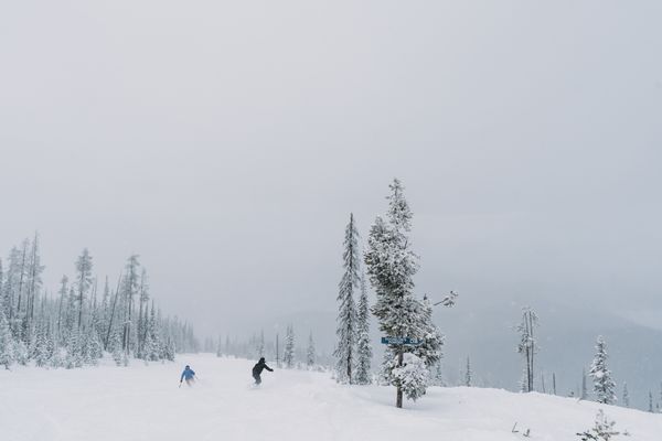 People snowshoeing and skiing on a snowy Montana mountainside with pine trees and light fog