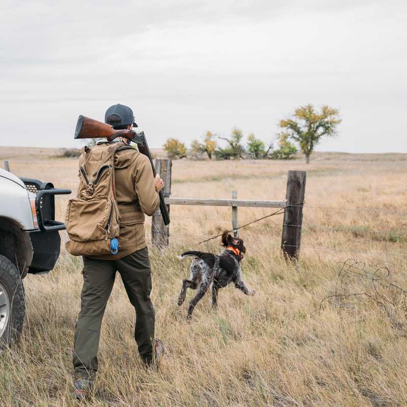 Person standing in a grassy field near a pickup truck with a dog on a leash in Montana countryside