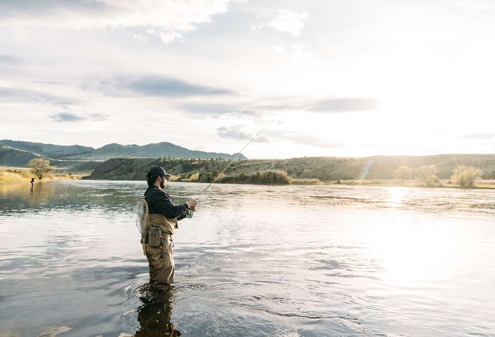 Conservation Licenses: Do You Need One?