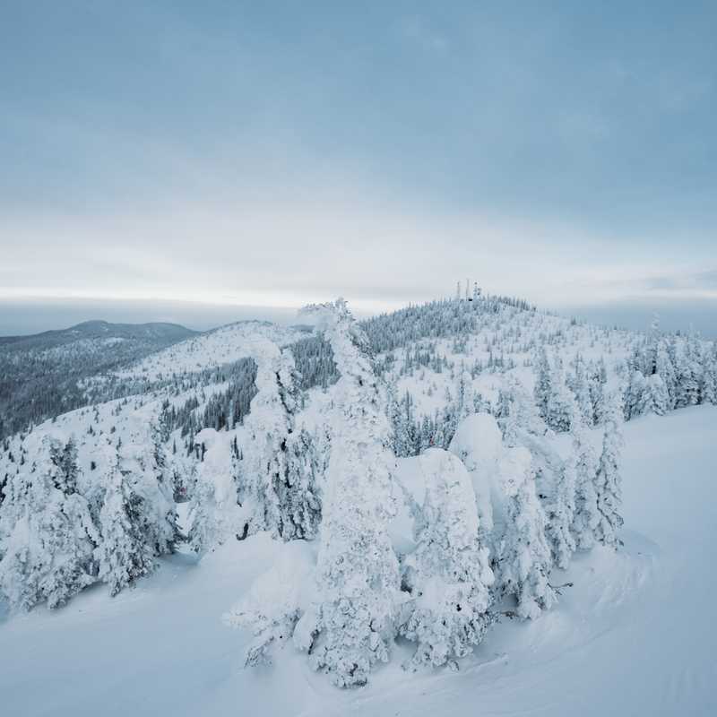 Snow-covered mountain ridge with evergreen trees and distant valleys under a clear sky in Montana