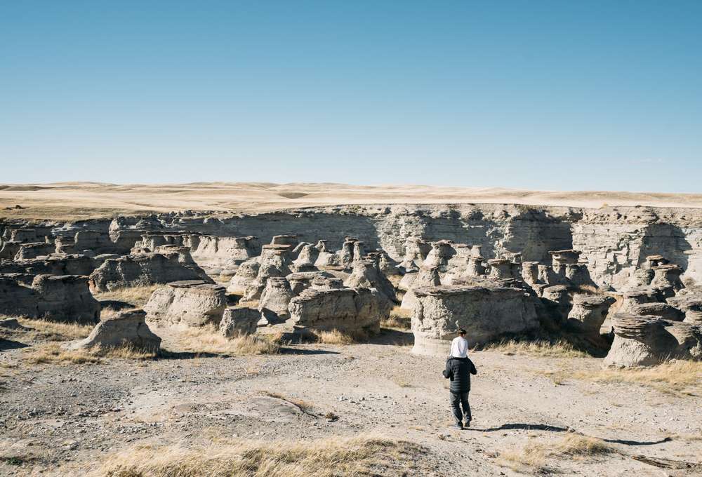 Dark Skies And Wildlife