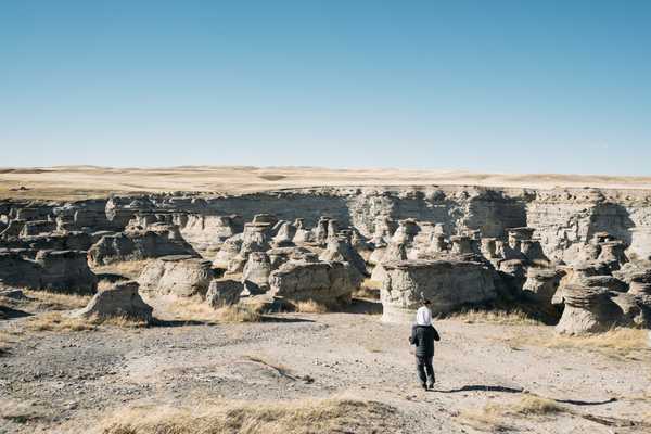 Dark Skies And Wildlife