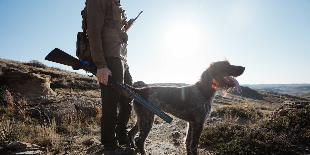 People hiking on a trail in Montana with a dog carrying a pack