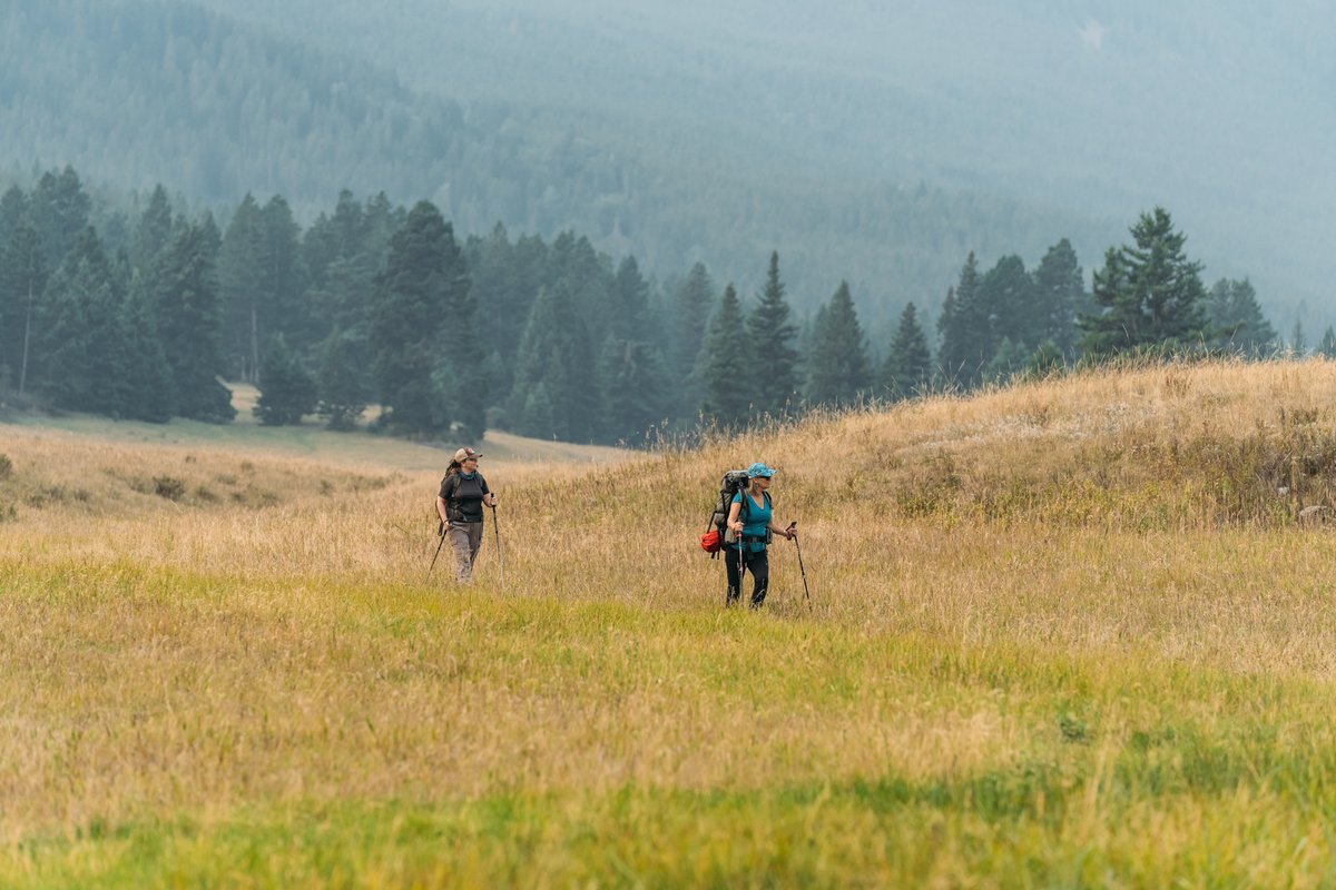 Two hikers with backpacks walking along a grassy meadow trail through a forested Montana mountain valley