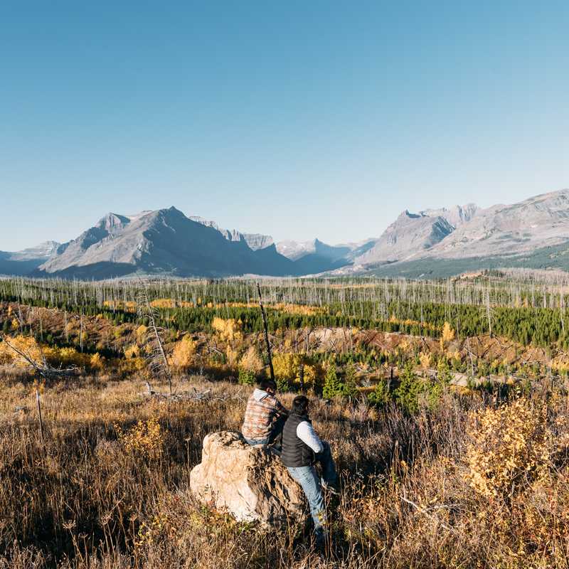 Rocky mountain landscape in Montana with autumn wildflowers, a distant mountain range, and a small stream or creek through the valley