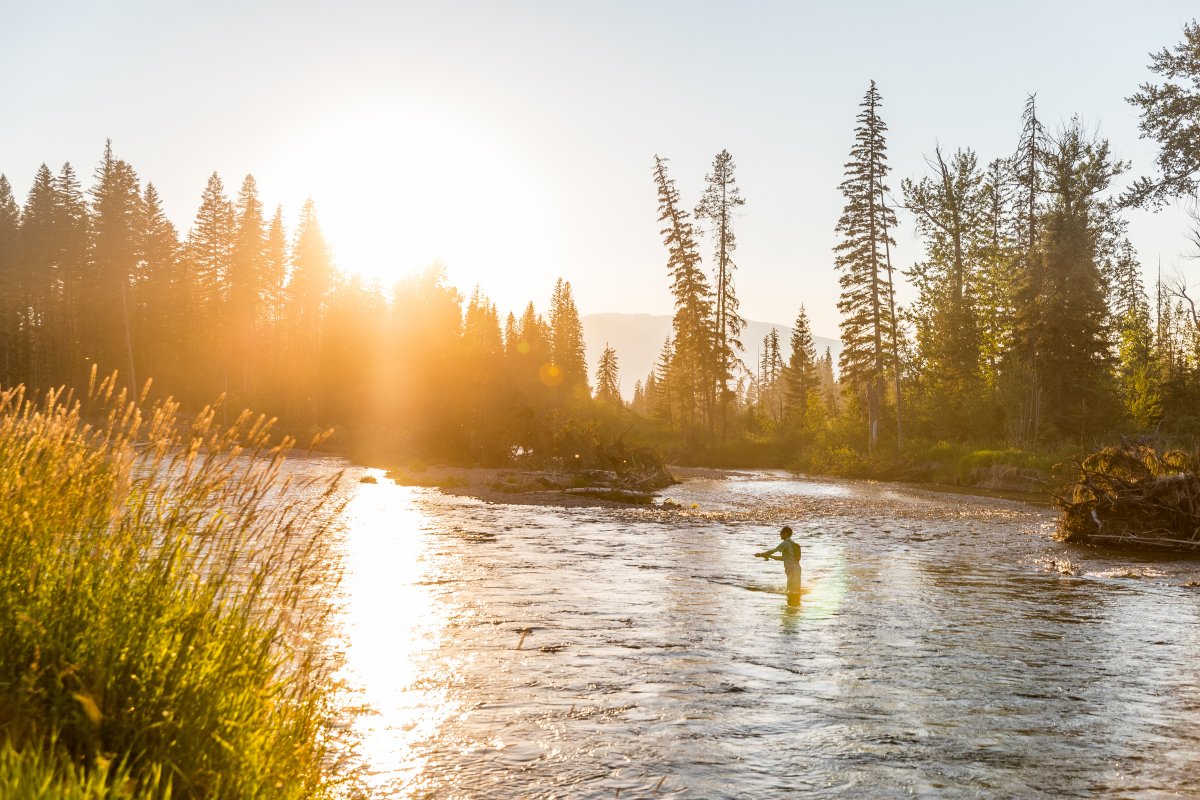 Kayaker paddles on a calm river at sunrise, with pine trees along the shoreline in Montana