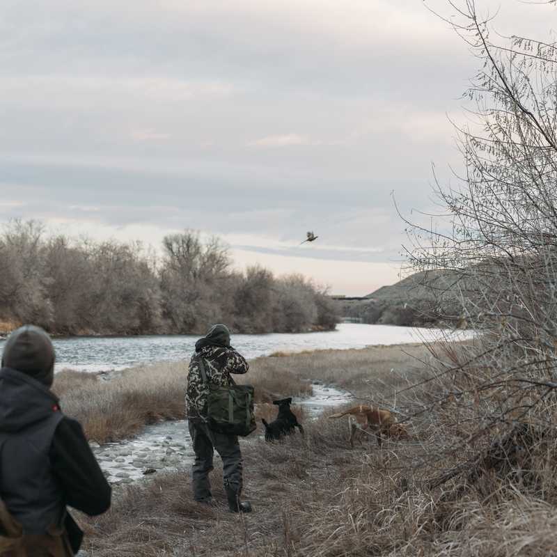 People walking along a riverbank in a snowy landscape in Montana with a tree-filled shoreline and distant river crossing