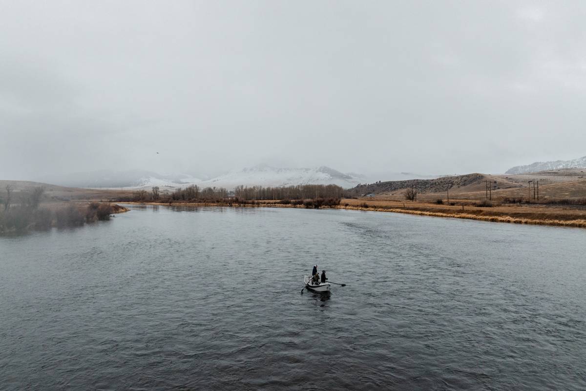 Into Fish All Year Round