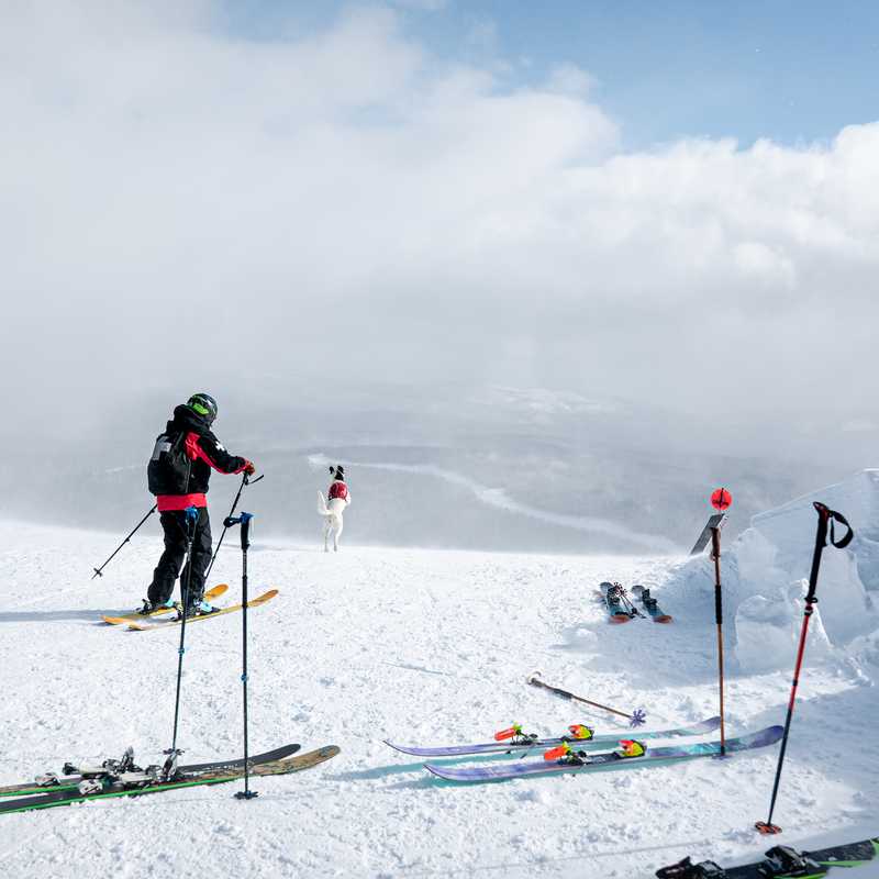 Skiers on a snowy slope with ski lifts in the distance on a clear day in Montana