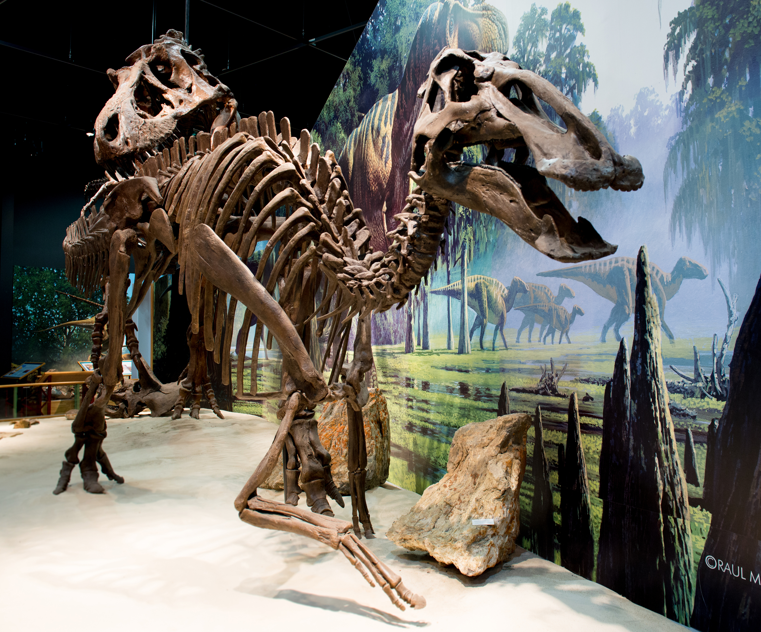 Roam In The Footsteps of Dinos