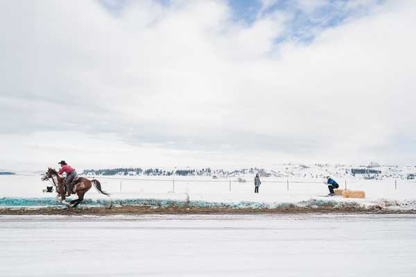 Skijoring
