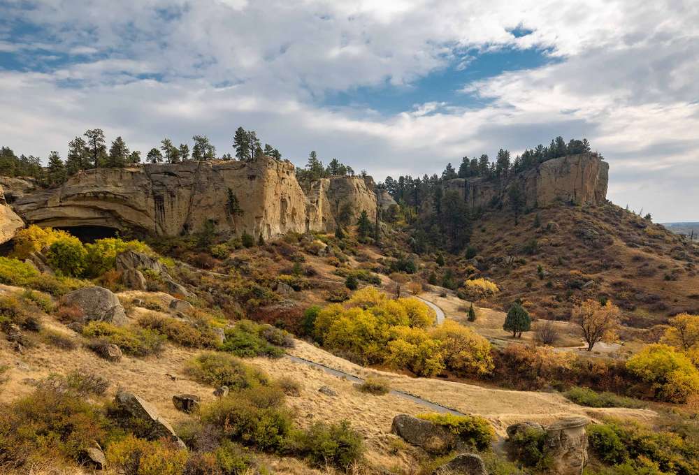 Billings Area