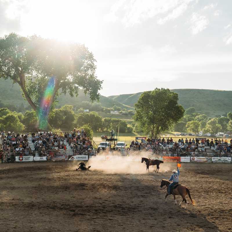 Riders and horses compete in an outdoor rodeo arena at sunrise in Montana, with spectators gathered along the fence line