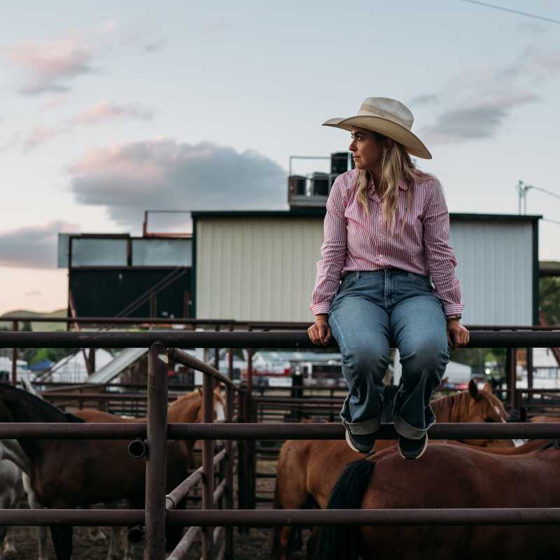Woman sitting on a fence at a working cattle ranch at sunset with cows in the background