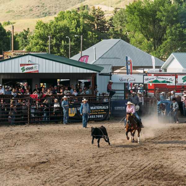 Rodeo
