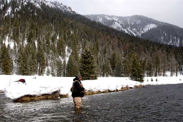 Winter-Friendly Fly Fishing Destinations